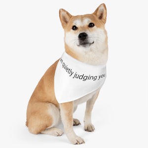 "I am quietly judging you" dog collar and bandana combo